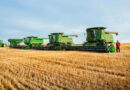 EU Deforestation Law Puts Brazil’s Soymeal Trade at Risk, Argentina Sees an Opening