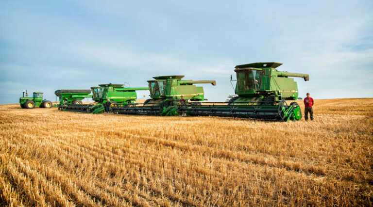 EU Deforestation Law Puts Brazil’s Soymeal Trade at Risk, Argentina Sees an Opening