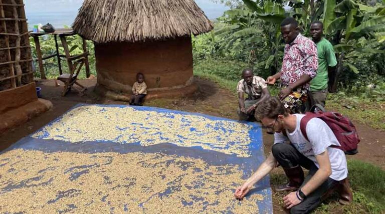 East Africa Braces for Poor Harvests After One of Its Driest Rainy Seasons on Record