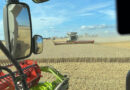 European Trials Report 4.3% Increase in Winter Wheat Yield with Arginex Seed Treatment