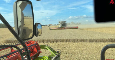 European Trials Report 4.3% Increase in Winter Wheat Yield with Arginex Seed Treatment European Trials Report 4.3% Increase in Winter Wheat Yield with Arginex Seed Treatment