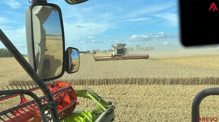 European Trials Report 4.3% Increase in Winter Wheat Yield with Arginex Seed Treatment