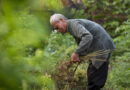 Farmer Sentiment Drops As Concerns About Input Costs Increase