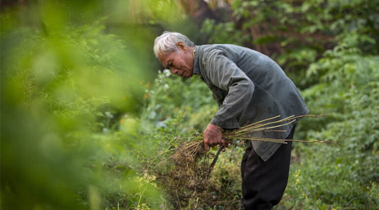 Farmer Sentiment Drops As Concerns About Input Costs Increase