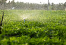 Fertiliser Costs Stay High As Hormuz Conflict Drags Into Ninth Month