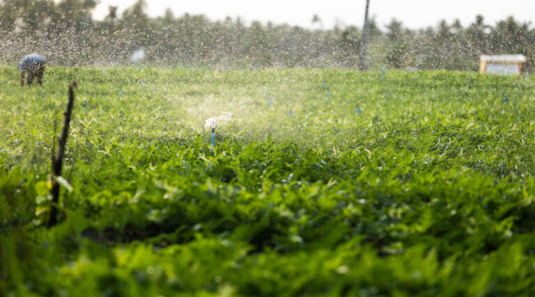 Fertiliser Costs Stay High As Hormuz Conflict Drags Into Ninth Month