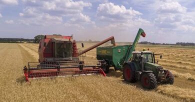 Fertilizer Prices Extend Climb as Potash Export Capacity Gets $500 Million Boost