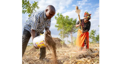 From Innovations To Impact Cgiar Scaling Fund Selects Eight Promising Innovations