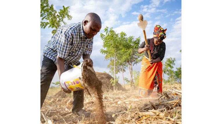 From Innovations To Impact Cgiar Scaling Fund Selects Eight Promising Innovations