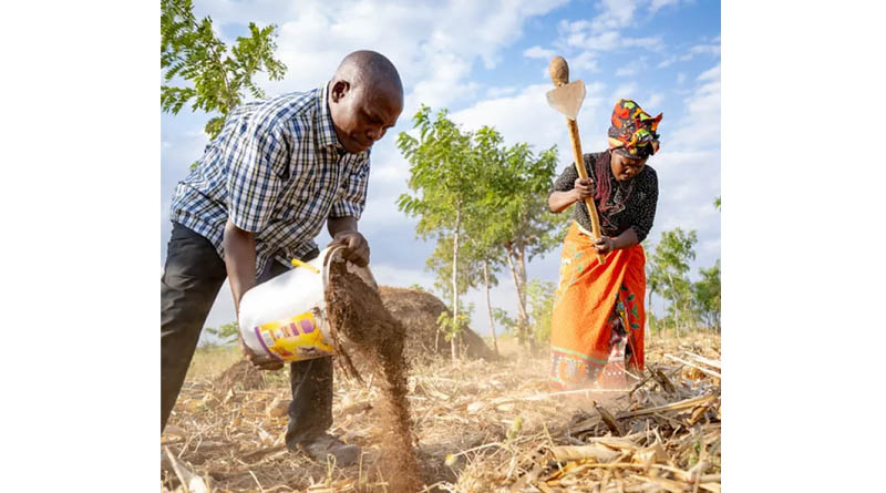 From Innovations To Impact Cgiar Scaling Fund Selects Eight Promising Innovations