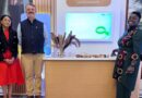 From Lab To Impact Advancing AI For Real-world Progress In India