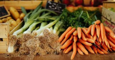 Global Food Prices Climb to Near Four-Year High as Cereal Costs Jump Global Food Prices Climb to Near Four-Year High as Cereal Costs Jump