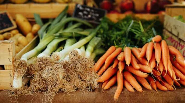 Global Food Prices Climb to Near Four-Year High as Cereal Costs Jump