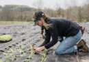 Global Food System Pressures Could Widen Gender Gap by 2050, CGIAR Report Finds