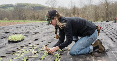 Global Food System Pressures Could Widen Gender Gap by 2050, CGIAR Report Finds Global Food System Pressures Could Widen Gender Gap by 2050, CGIAR Report Finds