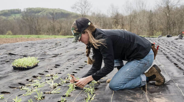 Global Food System Pressures Could Widen Gender Gap by 2050, CGIAR Report Finds