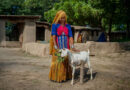 Helping Pakistan Strengthen Livestock Production And Access To Safer Crop Protection Solutions