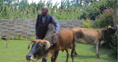 How Growing Forage For Livestock Turned A Small Plot Into A Thriving Family Business