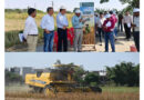 ICAR Soybean Varieties NRC 268 and NRC 270 Show Potential to Yield 20 Quintals per Hectare