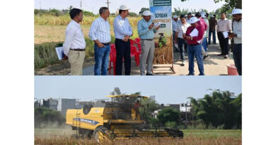ICAR Soybean Varieties NRC 268 and NRC 270 Show Potential to Yield 20 Quintals per Hectare ICAR Soybean Varieties NRC 268 and NRC 270 Show Potential to Yield 20 Quintals per Hectare