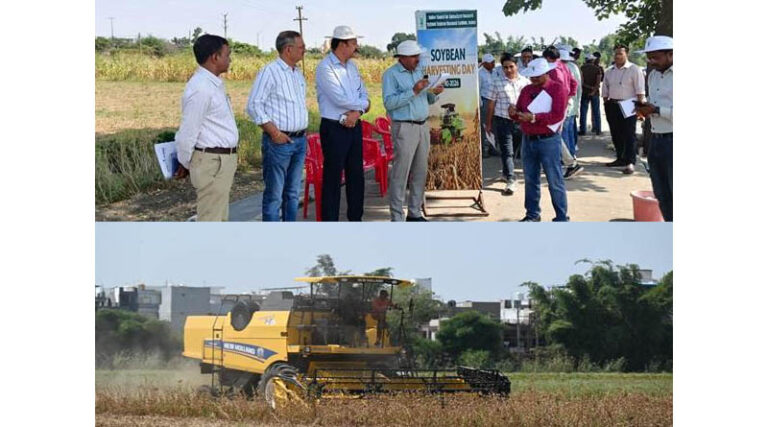 ICAR Soybean Varieties NRC 268 and NRC 270 Show Potential to Yield 20 Quintals per Hectare