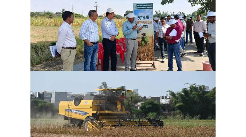 ICAR Soybean Varieties NRC 268 and NRC 270 Show Potential to Yield 20 Quintals per Hectare