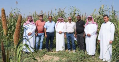 ICRISAT Identifies Sorghum and Pearl Millet Varieties for Saudi Arabia