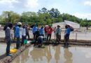 IRRI and BASF Expand Research Into Soil Carbon To Advance Low-emission Rice