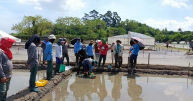 IRRI and BASF Expand Research Into Soil Carbon To Advance Low-emission Rice IRRI and BASF Expand Research Into Soil Carbon To Advance Low-emission Rice
