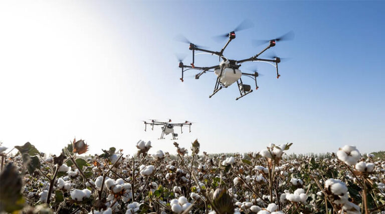Illegal HTBt Cotton Covers Up to 30% of India’s Cotton Area Study