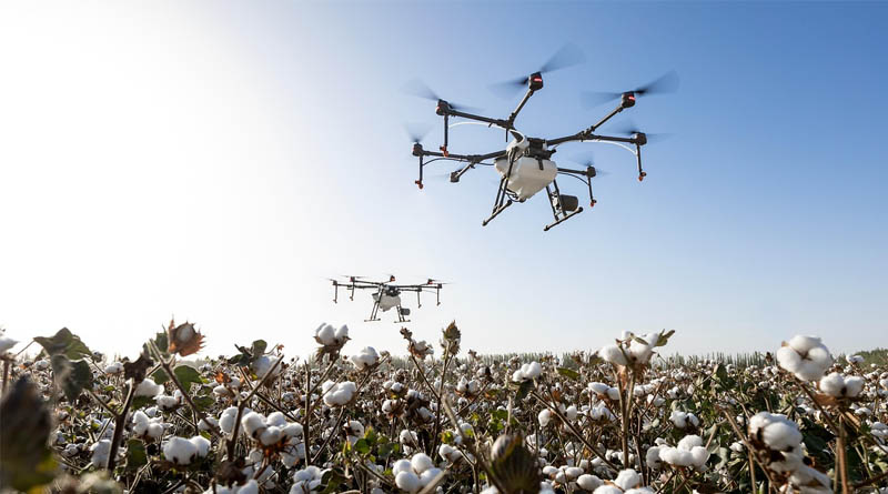 Illegal HTBt Cotton Covers Up to 30% of India’s Cotton Area Study
