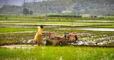 India Approves ₹5,547.99 Crore Procurement of Pulses and Oilseeds for Kharif 2026-27 India Approves ₹5,547.99 Crore Procurement of Pulses and Oilseeds for Kharif 2026-27