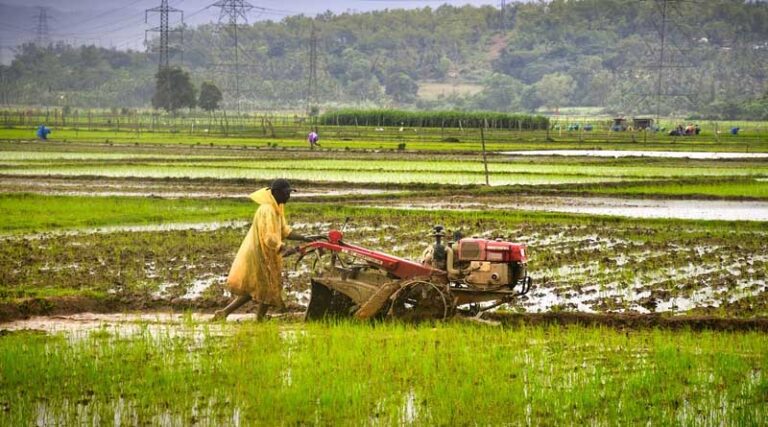 India Approves ₹5,547.99 Crore Procurement of Pulses and Oilseeds for Kharif 2026-27
