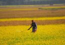 India Extends Minimum Import Price Restriction on Glufosinate Herbicide to April 2027