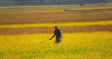 India Extends Minimum Import Price Restriction on Glufosinate Herbicide to April 2027 India Extends Minimum Import Price Restriction on Glufosinate Herbicide to April 2027