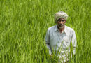 India FSII Seeks Clarity on GST Proposals Affecting Seed Industry Costs