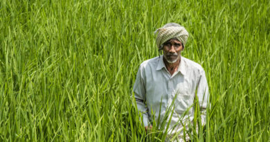 India: FSII Seeks Clarity on GST Proposals Affecting Seed Industry Costs India FSII Seeks Clarity on GST Proposals Affecting Seed Industry Costs