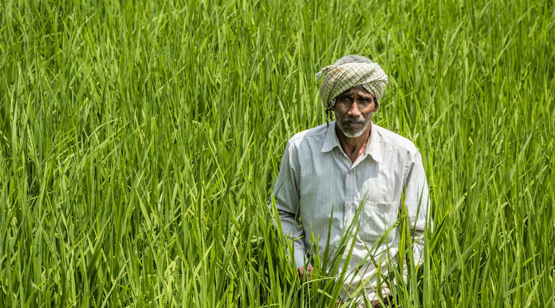 India FSII Seeks Clarity on GST Proposals Affecting Seed Industry Costs