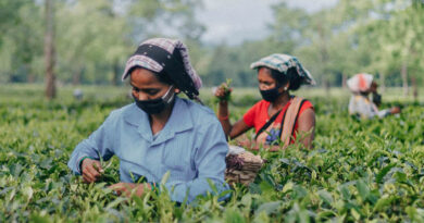 India: FSSAI Proposes New Residue Limits for Acetamiprid and Imidacloprid in Tea India FSSAI Proposes New Residue Limits for Acetamiprid and Imidacloprid in Tea