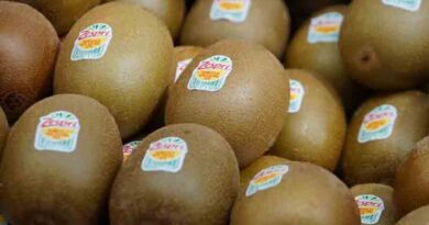 India Opens Tariff Quotas for NZ Apples, Kiwifruit and Manuka Honey India Opens Tariff Quotas for NZ Apples, Kiwifruit and Manuka Honey