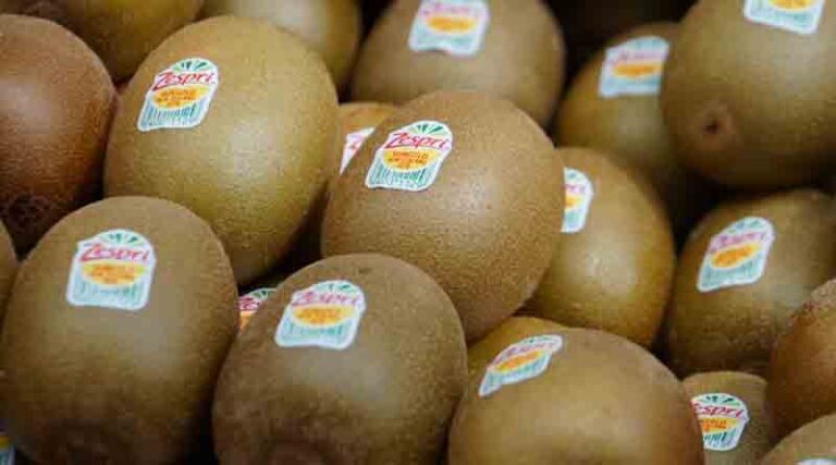 India Opens Tariff Quotas for NZ Apples, Kiwifruit and Manuka Honey