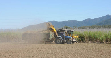 Indian Farmers’ Organisation Demands Sugarcane Price of Rs 575 per Quintal, Seeks Changes to Government Committee Indian Farmers’ Organisation Demands Sugarcane Price of Rs 575 per Quintal, Seeks Changes to Government Committee