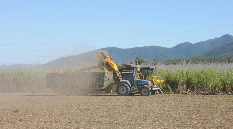 Indian Farmers’ Organisation Demands Sugarcane Price of Rs 575 per Quintal, Seeks Changes to Government Committee