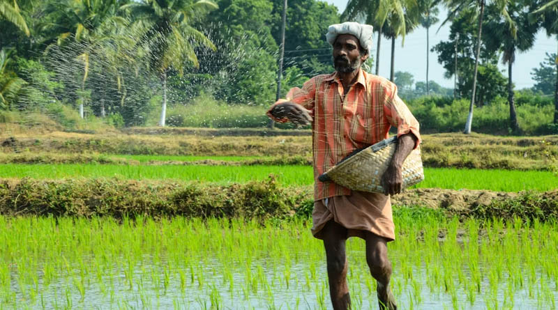 India's Fertiliser Stocks Hit Two-Year High for Rabi Season