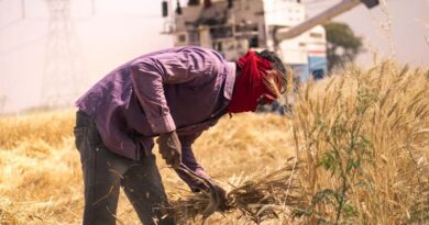 India's Fertilizer Subsidy Bill Could Cross ₹3 Lakh Crore This Fiscal Year