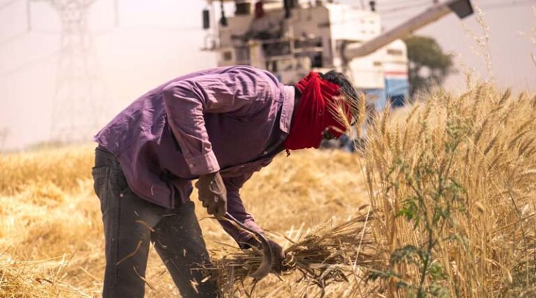 India's Fertilizer Subsidy Bill Could Cross ₹3 Lakh Crore This Fiscal Year