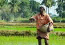 India's Latest Urea Tender Signals Relief on Global Fertiliser Costs