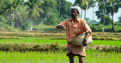 India's Latest Urea Tender Signals Relief on Global Fertiliser Costs India's Latest Urea Tender Signals Relief on Global Fertiliser Costs