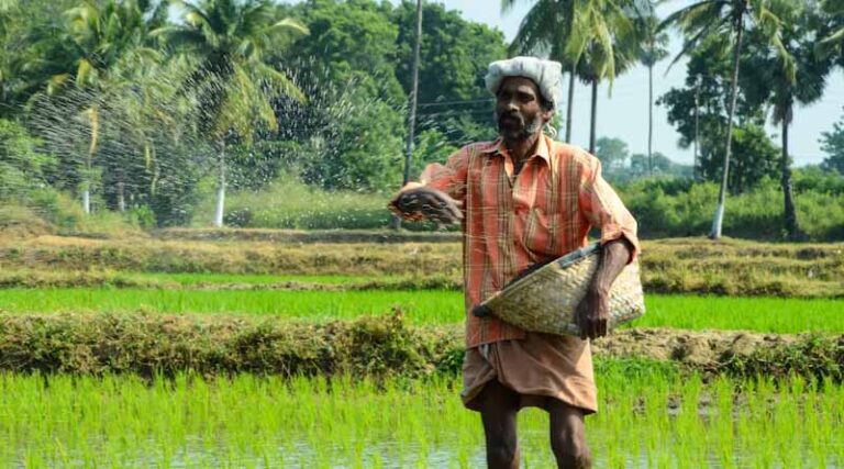 India's Latest Urea Tender Signals Relief on Global Fertiliser Costs