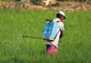 India’s Regulatory Action on Carbosulfan ‘Borrowed Alarm’ or Shared Scientific Evidence